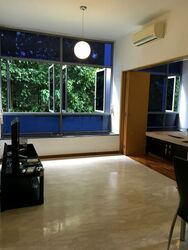 Viz At Holland (D10), Condominium #523088791